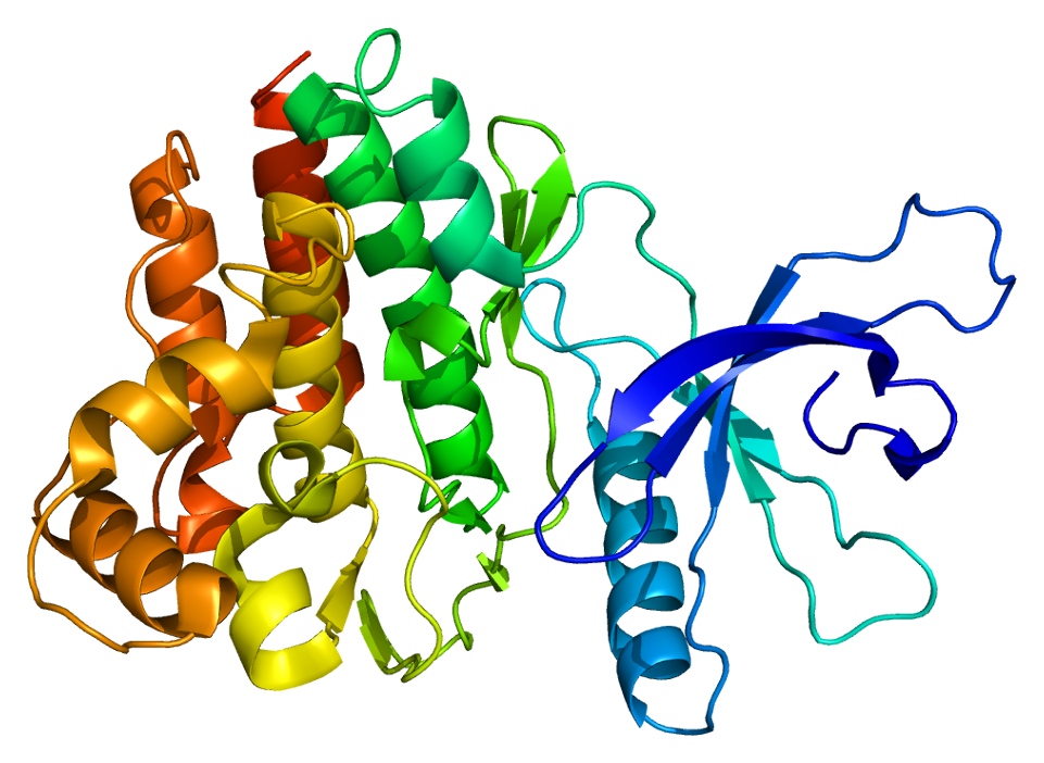 JAK3 (Janus kinase 3)