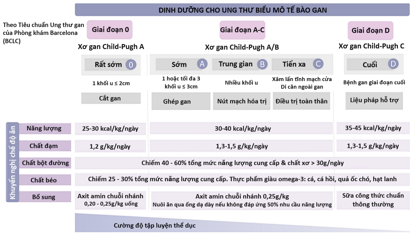 Khuyến nghị dinh dưỡng cho ung thư gan