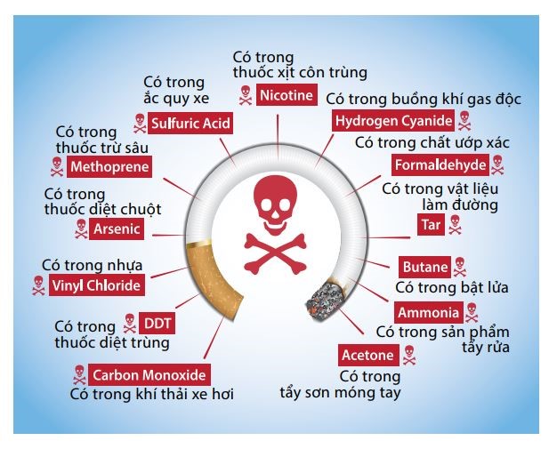 Khói thuốc chứa 7000 hóa chất, trong đó ít nhất 250 chất gây hại và 70 chất gây ung thư