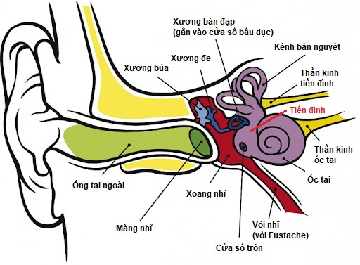 Rối loạn tiền đình