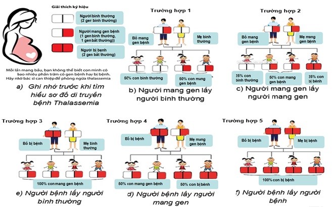 Thalassemia